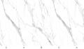 Calacatta White glossy
